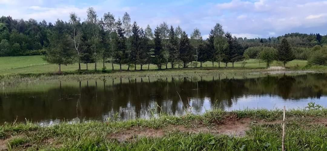 Apartament Pod Lasem Bandrow Narodowy Экстерьер фото